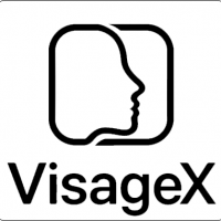 VisageX logo tile